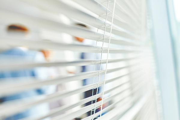 Mini Blinds Thumbnail